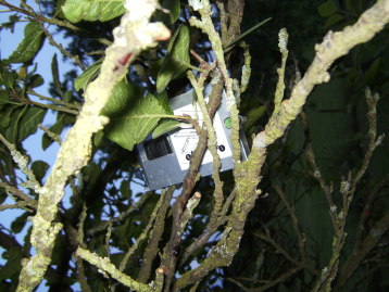 Fidonet LuxCon 2012 - Dort wo die Festplatten auf Bäumen wachsen